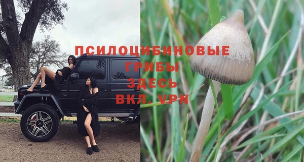 эйфоретик Алексин